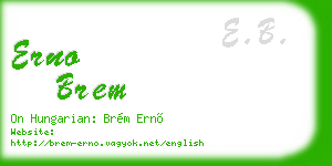 erno brem business card